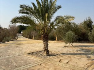Betania nad Jordanem – miejsce, gdzie zaczyna się droga wiary (5)